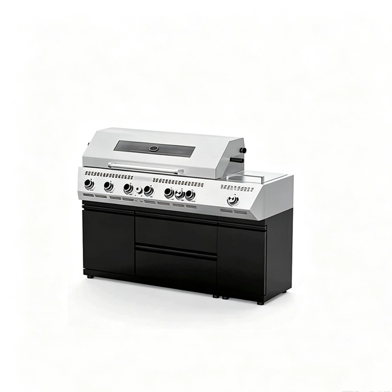 6-Burner Stainless Steel BBQ Grill Cabinet GP-GVC6T