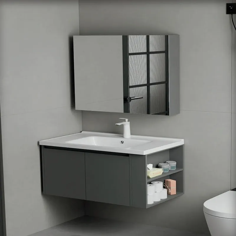 Graphite Gray Compact Vanity with Mirror Shelves Custom Stainless Steel Bathroom Vanity FW-BV-029