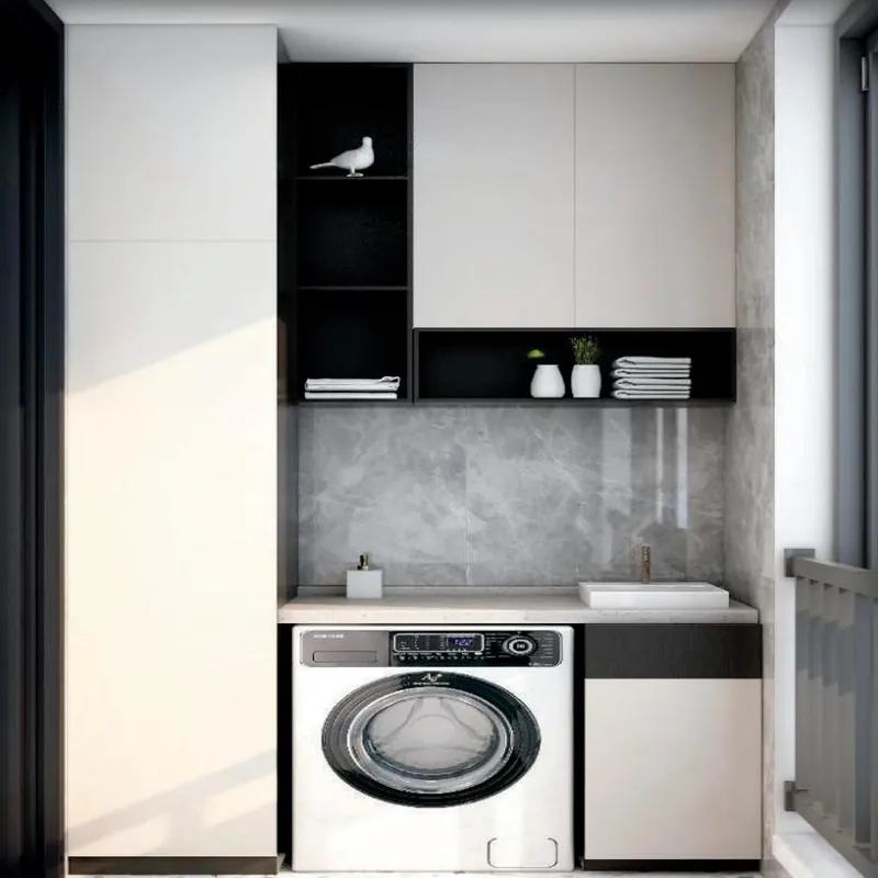 White and Black Compact Washer Cabinet Custom Stainless Steel Balcony Cabinets FW-BC-022